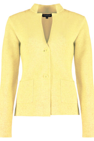 Stand up collar blazer structure kit lemon Bloomings